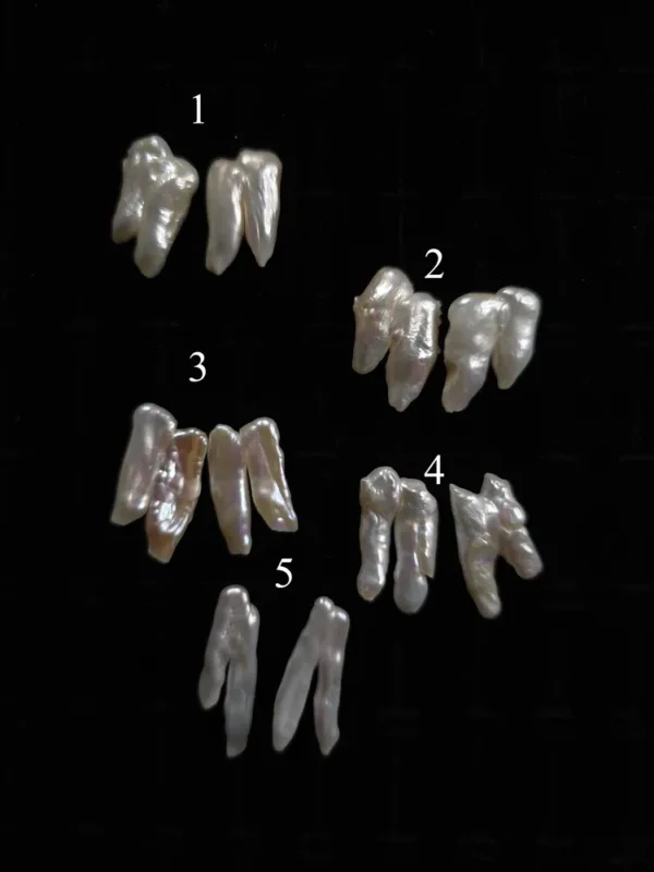 zizu wariations Zizu