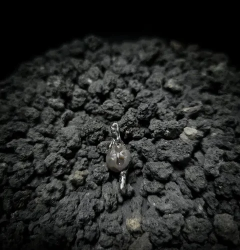 1000041332-scaled_result Mind