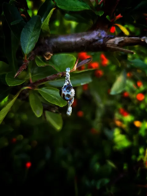 20241115_104423-scaled_result Mind