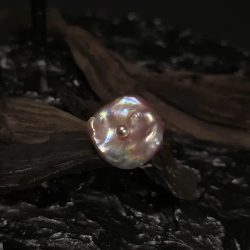 20250919_073258 (1)_result Bloom