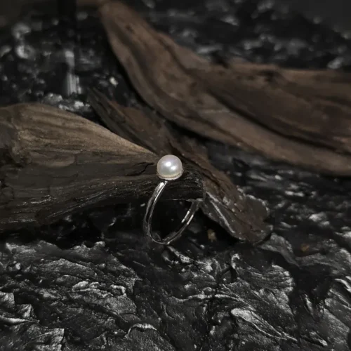 20250919_074513_result Harmony