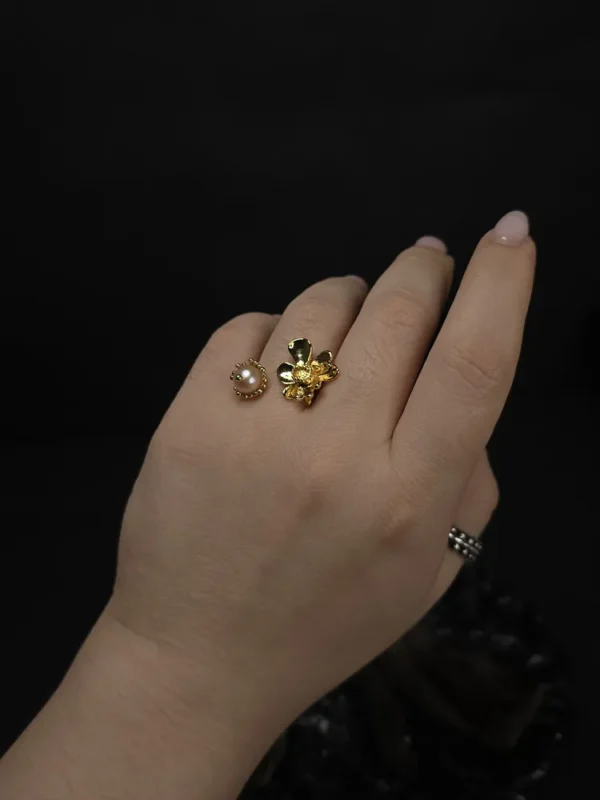 20250917_183507_result Nelumbo