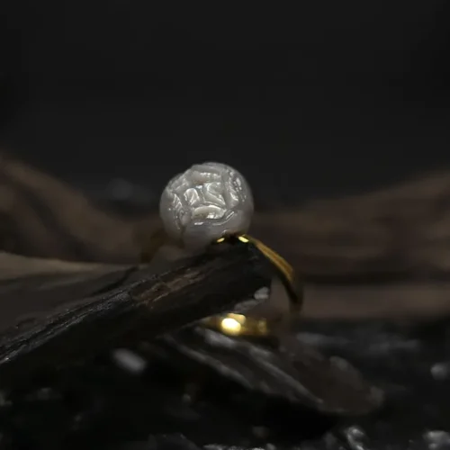 20250917_185421_result Pion