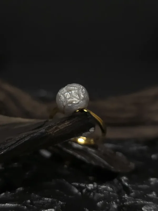 20250917_185421_result Pion