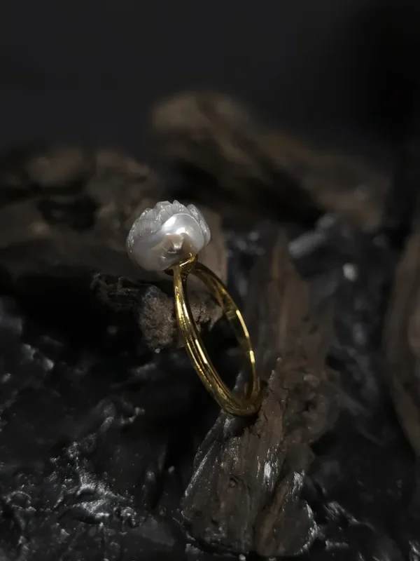 20250917_185457_result Pion