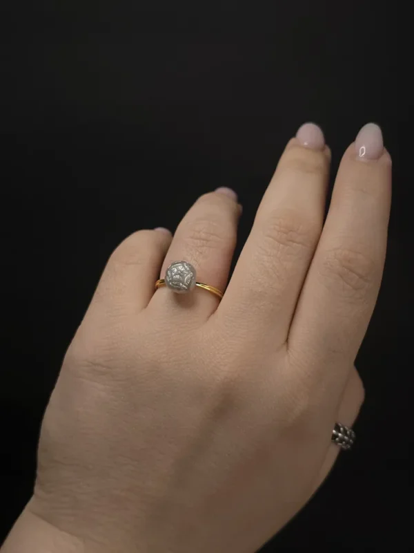 20250917_185640_result Pion