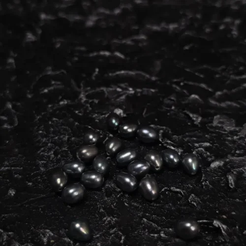 Perła Naturalna Szara Paw Ryż  7x5 mm