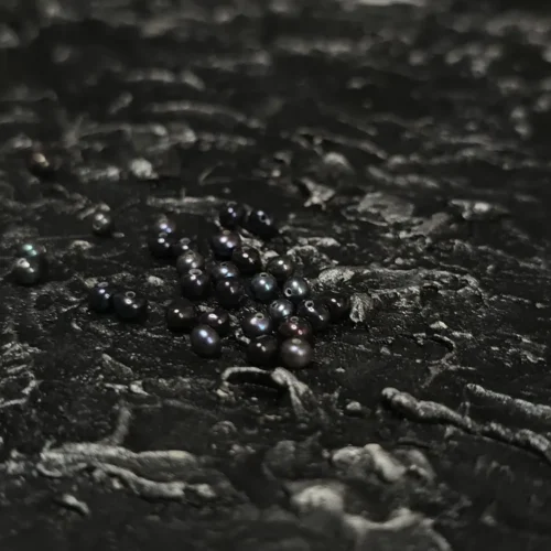 Perła Hodowlana Czarna paw Potato 4x3mm