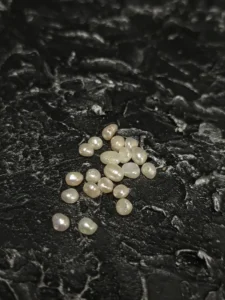 Perła Słodkowodna Biała 3x5 mm