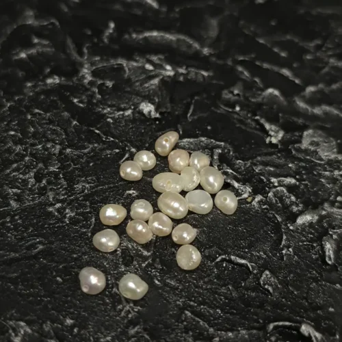 Perła Słodkowodna Biała 3x5 mm