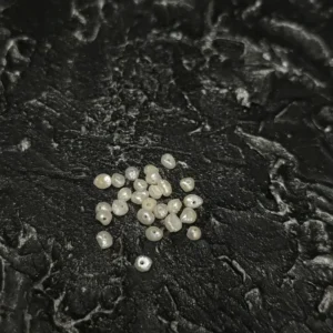 Perła Naturalna Biała 4x2mm