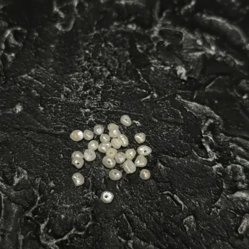 Perła Naturalna Biała 4x2mm